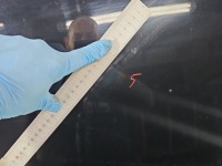 фото thumb №7, Капот передняя volvo v60 s60 ii 10-18 чёрный 48700