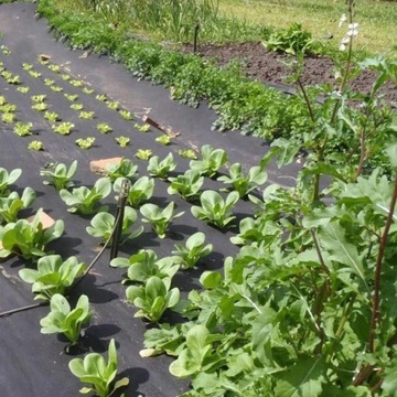 ТКАНЬ НЕТКАНАЯ АГРО ОТ СОРНЯКОВ 100г КОВР 0,6х100м + КОЛЫШКИ
