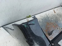 фото thumb №11, Mercedes-benz v клас amg w447 бампер задній зад