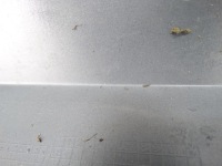 Mini countryman f60 lift 20- бампер передний Недорого, фото thumb