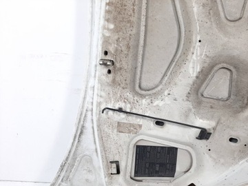 фото thumb №14, Renault kangoo експрес рестайлінг 05r капот код 0389