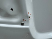 фото thumb №10, Toyota c-hr chr 16r- крышка багажника крышка багажника задняя задняя