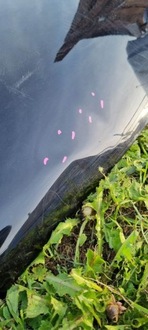 фото thumb №10, Капот кришка двигуна vw tiguan