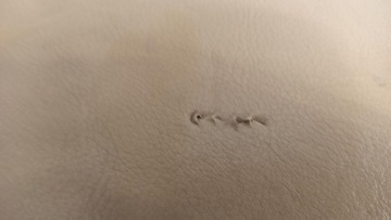 фото thumb №9, Range rover sport l320 боковина багажника правые