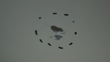 фото thumb №13, Nissan note e11 рестайлинг дверь правые зад 326g d1804