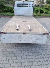 фото thumb №1, Master movano nv400 2023r коробка передач грузовая кузов prycza подъемник