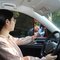 фото thumb №6, Захист сонцезахисна na скло автомобільна