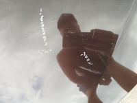 Купити Капот кришка двигуна opel astra j iv lata 2009-2015 оригінал колір z41c, фото thumb