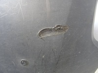 фото thumb №7, Бампер перед bipper qubo fiorino 1308778070