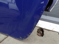 фото thumb №8, Двері праве передні renault kangoo ii 2