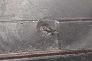 фото thumb №9, Підкрилок ліві перед передні 74151-tl0-g000 honda accord 8 viii 07-11