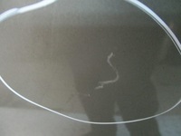 фото thumb №6, Капот opel vectra b z146