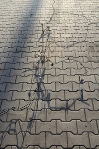 фото thumb №1, Audi q3 дроти гальмівні