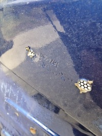 Капот решітка  решітка радіатора облицювання streamline scania r 2055972 2269446 2055973 Київ, фото thumb