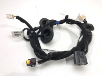 фото thumb №1, Джгут двері задня лівий kia niro 16-22