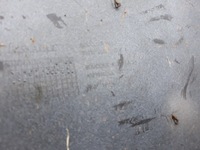 фото thumb №10, Renault zoe бампер задний задняя