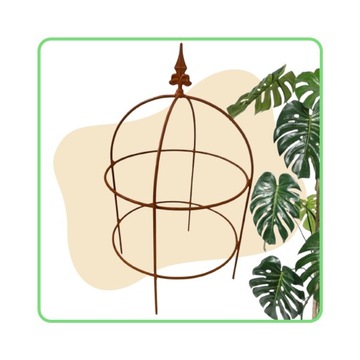 Podpora do roślin pnących obejma piwonii RÓŻ PERGOLA okrągła 60cm obelisk