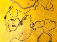 фото thumb №15, Mercedes-benz w447 жгут электропроводка салона