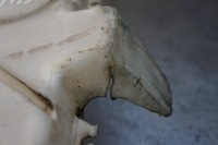 фото thumb №6, Бак бачок омывателя honda civic x hb 76801-tgg-e011-m5