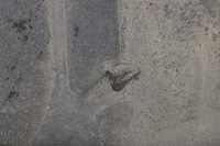 фото thumb №8, Volvo s60 v60 v90 s90 захист pod двигун 31497612