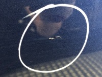 фото thumb №5, Двері правий задня mercedes w246 minivan 11-18