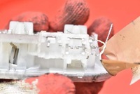 фото thumb №8, Лампа освітлення салону задня 9663069980 toyota proace city 16-21