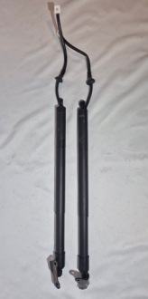 Купити Lexus nx ii амортизатори електричний кришки задній, фото thumb