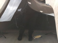 фото thumb №10, Toyota proace 16- крыло левый перед 9808757880