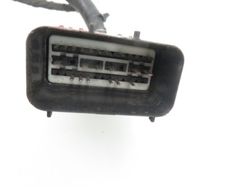 фото thumb №6, Жгут двигателя ford mondeo v 2.0 tdci j1gt-10c679-aa