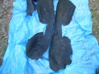 фото thumb №3, Подкрылок левая задние задняя левый alfa romeo 166 sedan