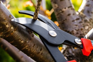 ТЕЛЕСКОПИЧЕСКИЙ ТРАНКТОР VERTO 15G253