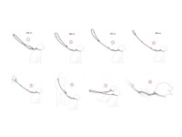 AMIPLAY Поводок 8-в-1 BEHAPPY S DONUT