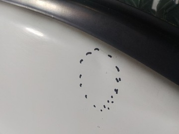 фото thumb №5, Master ii 02- двері передні перед праві