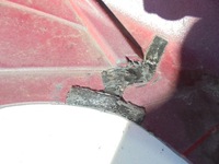 фото thumb №10, Бампер перед porsche carerra 99150501351