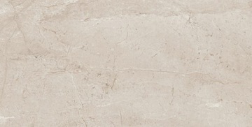 PŁYTKI ŁAZIENKOWE PODŁOGOWE ŚCIENNE GRES KAMIEŃ HOMES BROWN 60X120 POŁYSK