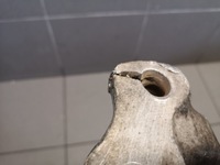 фото thumb №15, Поворотний кулак правий перед audi a4 a5 a6 8k0407258