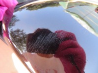 фото thumb №6, Дзеркало ліва alfa romeo mito 08-13r 7pin