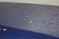 фото thumb №5, Кришка багажника багажника задня peugeot 407 sw kombi