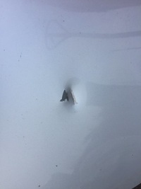 фото thumb №7, Audi a5 8t coupe кришка багажника багажника задня задня lx7w