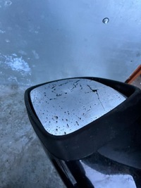 фото thumb №8, Зеркало правое zoe 9pin europa