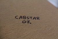 фото thumb №5, Потолок nissan cabstar maxity 07r.