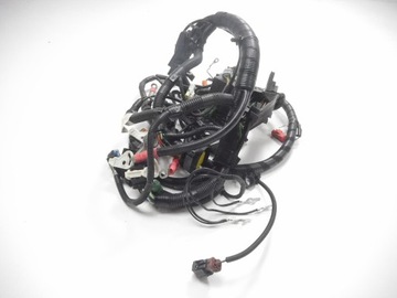 фото thumb №6, Модуль провод – камера двигателя ford fiesta 01-08 / fusion 01-12 1424788