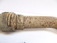 фото thumb №3, Corolla verso i труба сітка модуль труби вихлоп