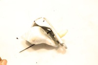 фото thumb №8, Петля дверь левый перед ford ecosport ii lift