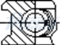 фото thumb №2, Набор колец поршня fr10-209500 freccia