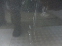 фото thumb №3, Дверь правый перед toyota avensis t25 1g3