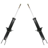 фото thumb №1, 2× srline s011330g амортизатор