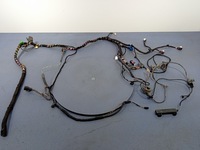 фото thumb №6, Skoda octavia iv hb джгут зад лівий багажник