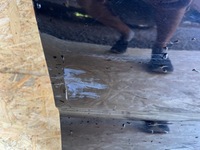 фото thumb №10, Renault talisman дверь правое передние перед