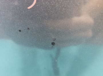 фото thumb №12, Дверь перед левая mitsubishi lancer viii 07-16 a39